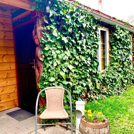 Apartmán Dovolenkovy Dom Ela Pets Friendly Poprad Exteriér fotografie
